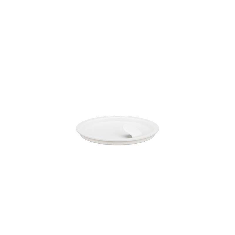 Piattina
